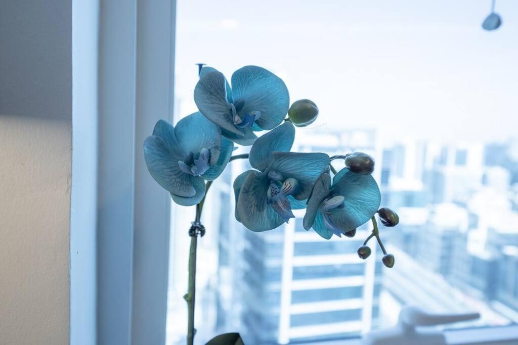 At The Top Burj View Studio - Special Offer Apartment Dubai